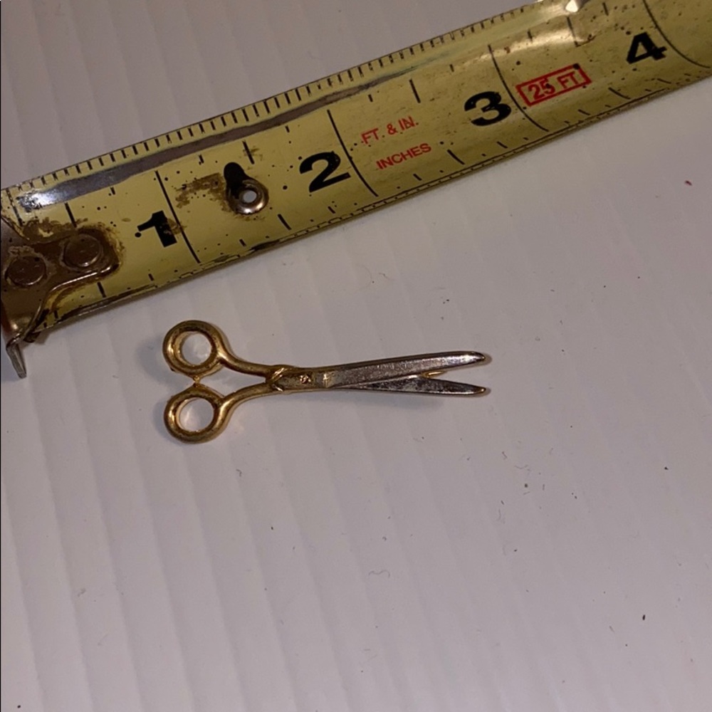 Scissors pin